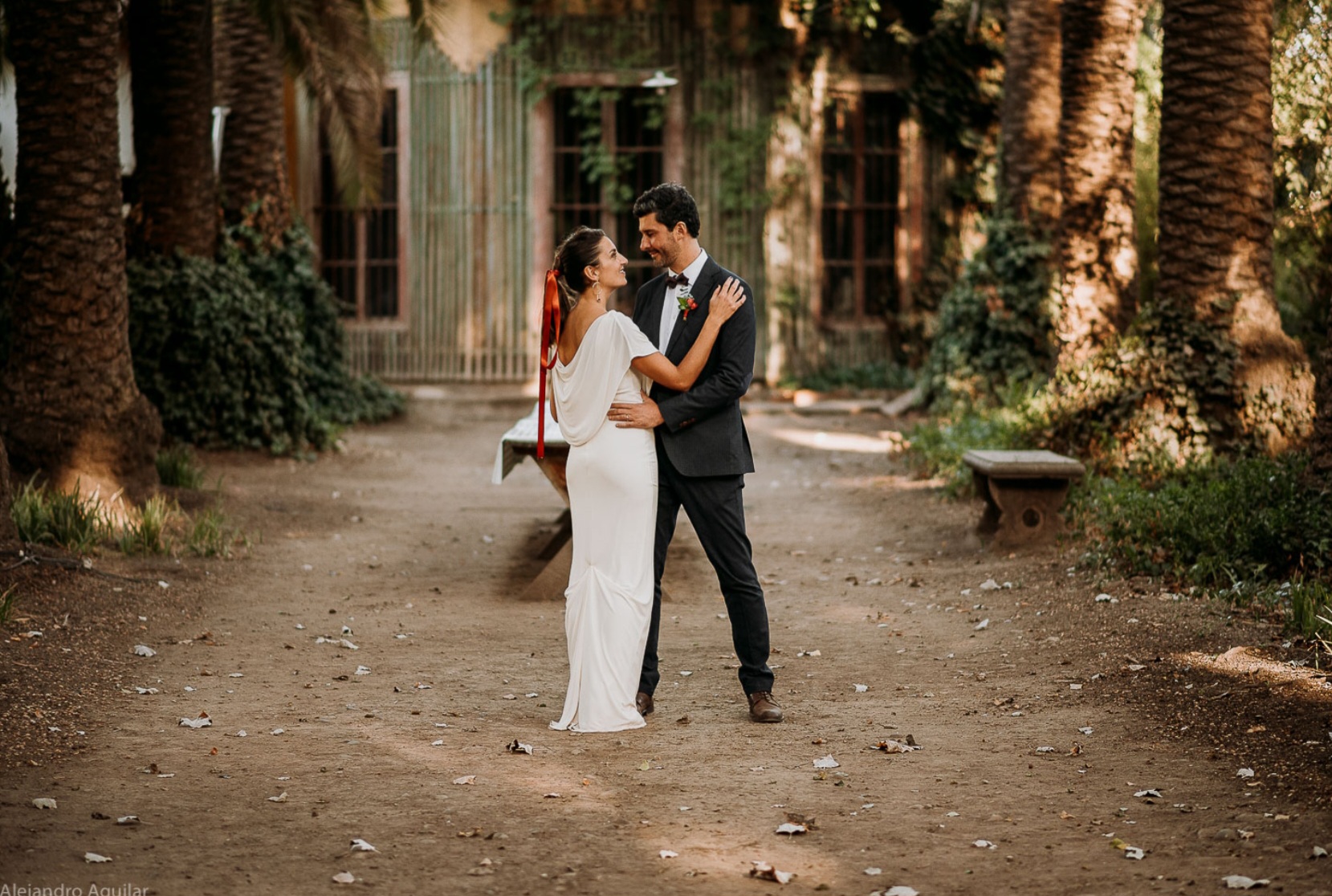 Pareja de novios al atardecer